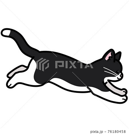 ジャンプするシンプルで可愛いハチワレ猫のイラスト 主線ありのイラスト素材