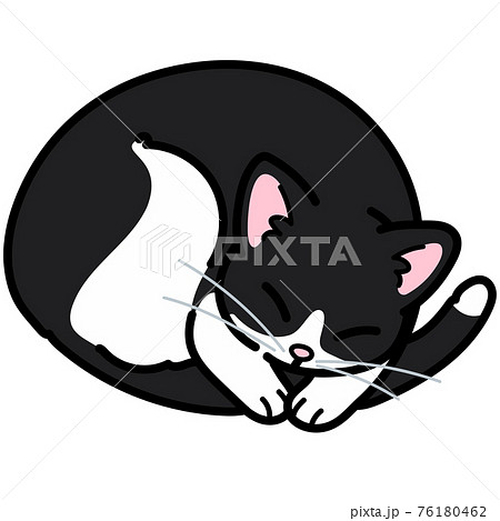 丸まって眠るシンプルで可愛いハチワレ猫のイラスト 主線ありのイラスト素材