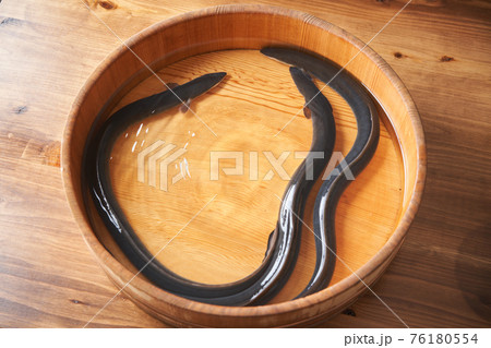 活うなぎ 活うなぎ 76180554