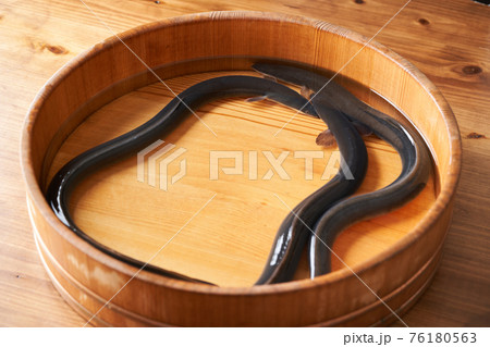 活うなぎ 活うなぎ 76180563