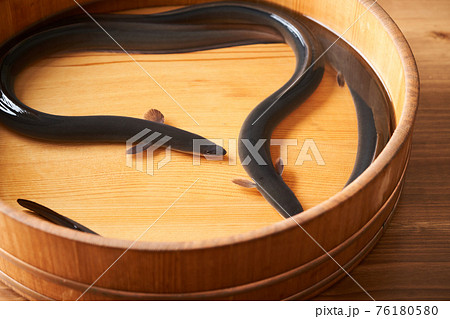 活うなぎ 活うなぎ 76180580