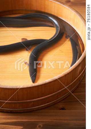 活うなぎ 活うなぎ 76180584