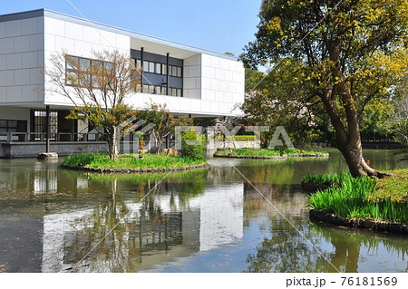 鎌倉市　鎌倉文華館鶴岡ミュージアムと平家池と新緑 76181569