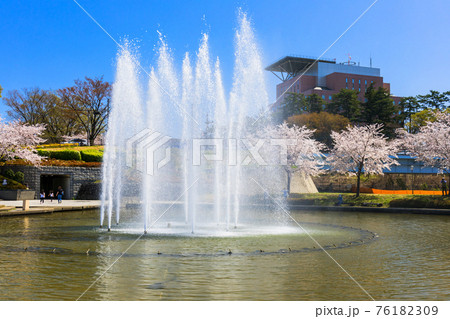桜咲く噴水池 桜咲く噴水池 76182309