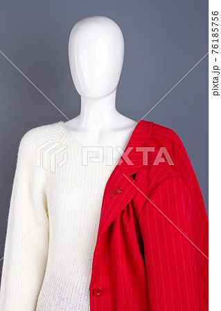 Women elegant apparel on mannequin. Women elegant apparel on mannequin. 76185756