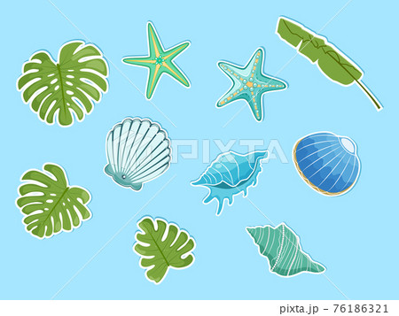 Sea shells and palm leaves stickers. Vector illustration. 76186321