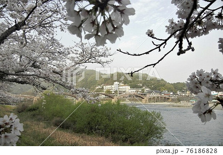 日本の川景色:山口県岩国市を流れる錦川と錦帯橋 日本の川景色:山口県岩国市を流れる錦川と錦帯橋 76186828