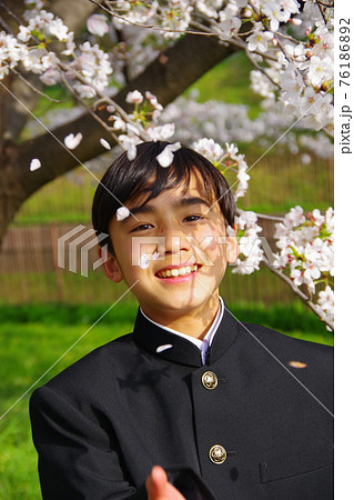 入学式 制服姿の学生 桜の季節 卒業式 入学式 制服姿の学生 桜の季節 卒業式 76186892
