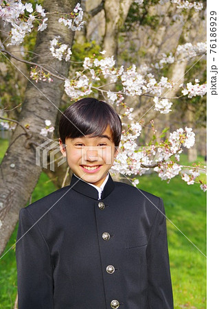 入学式 制服姿の学生 桜の季節 卒業式 入学式 制服姿の学生 桜の季節 卒業式 76186929