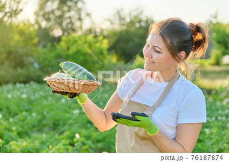 Smiling woman with basket of fresh plucked zucchini on farm 76187874
