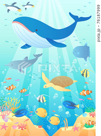 夏の海でクジラやペンギンやイルカが泳いでいるベクターイラスト背景 風景 のイラスト素材