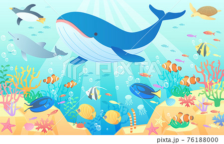 夏の海でクジラやペンギンやイルカが泳いでいるベクターイラスト背景(風景)のイラスト素材 [76188000] - PIXTA