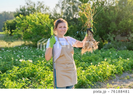 Smiling woman farmer gardener holding fresh dug garlic plant in hand Smiling woman farmer gardener holding fresh dug garlic plant in hand 76188481