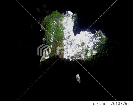 ウイルソン株、縄文杉コース、屋久島、鹿児島 76188769