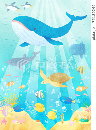 夏の海でクジラやペンギンやイルカが泳いでいる水彩風のベクターイラスト背景 風景 のイラスト素材
