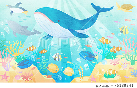 夏の海でクジラやペンギンやイルカが泳いでいる水彩風のベクターイラスト背景 風景 のイラスト素材
