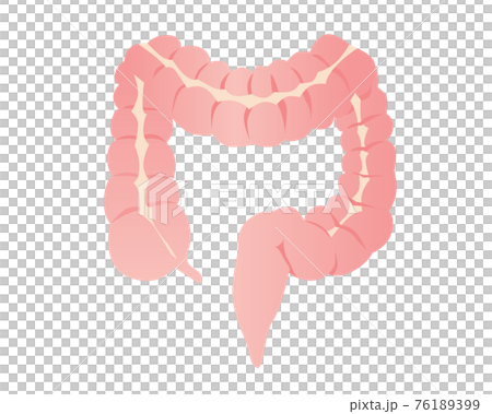 Illustration of intestine 76189399