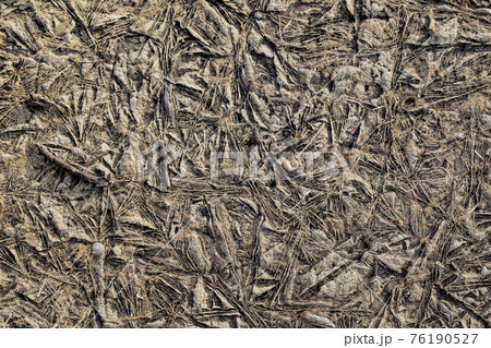 Background texture of plants frozen in ice 76190527