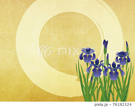 菖蒲 金箔背景素材のイラスト素材
