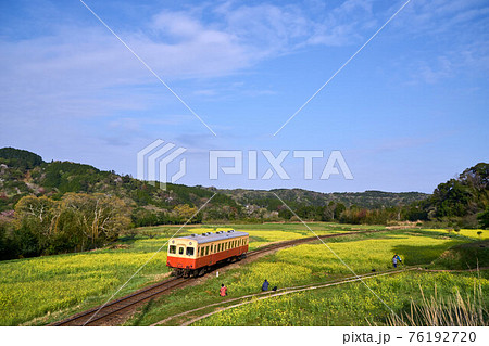 春の小湊鉄道　菜の花畑とレトロ列車　石神の菜の花畑 76192720