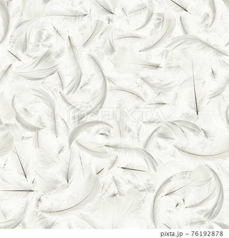 Feather isolated. Abstract bird feather texture closeup falling on white background in seamless pattern photography. Concept of sensitivity responsiveness to nature. 76192878
