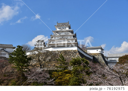 日本の兵庫県の姫路市 世界遺産で国宝でもある姫路城 春の桜と青空と立派な天守閣 日本の兵庫県の姫路市 世界遺産で国宝でもある姫路城 春の桜と青空と立派な天守閣 76192975