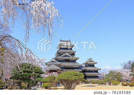 桜咲く春の国宝松本城 桜咲く春の国宝松本城 76193589