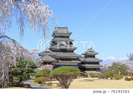 桜咲く春の国宝松本城 桜咲く春の国宝松本城 76193591