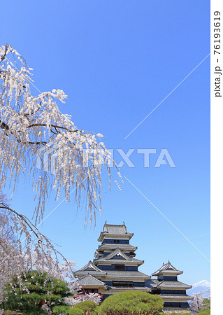 桜咲く春の国宝松本城 桜咲く春の国宝松本城 76193619