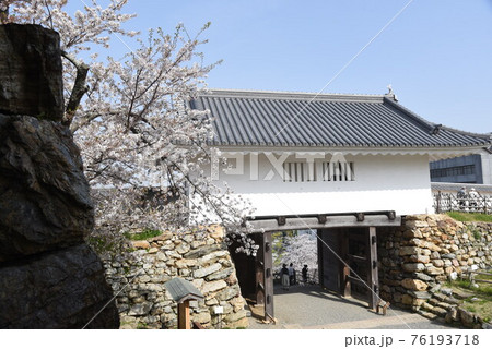 城巡り・浜松城・静岡県浜松市 GOTOトラベル 城巡り・浜松城・静岡県浜松市 GOTOトラベル 76193718