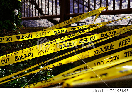 コロナ禍でお花見禁止になった目黒川 76193848