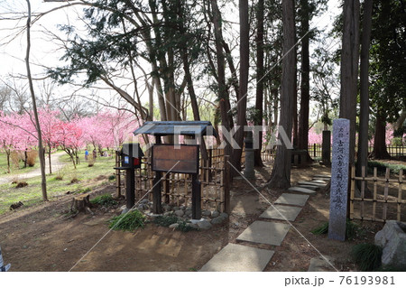 古河総合公園にある足利義氏の墓所です 古河総合公園にある足利義氏の墓所です 76193981