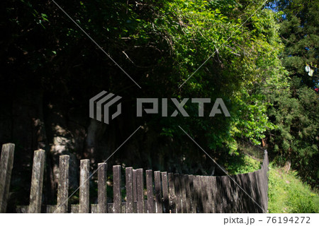 宇佐市（安心院町）　楢本摩崖仏 76194272