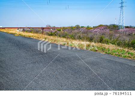 さくらそう公園付近 荒川土手からの景色 荒川上流 秋ヶ瀬橋方面 さくらそう公園付近 荒川土手からの景色 荒川上流 秋ヶ瀬橋方面 76194511