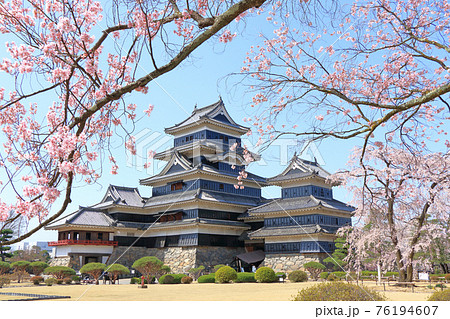 桜咲く春の国宝松本城 桜咲く春の国宝松本城 76194607