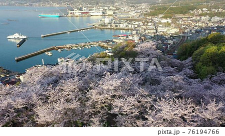 安芸津港方向に見た正福寺山公園の桜を空撮の写真素材