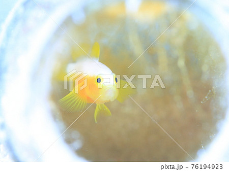 ワンルームの戸建てに住んでいます! ワンルームの戸建てに住んでいます! 76194923