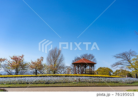 名古屋市港区の戸田川緑地公園内の花壇と東屋 76195015