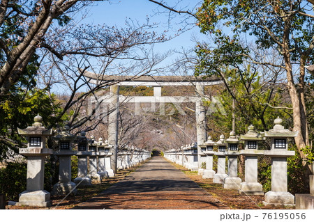 竜桜公園　川東八幡神社　（香川県高松市） 76195056