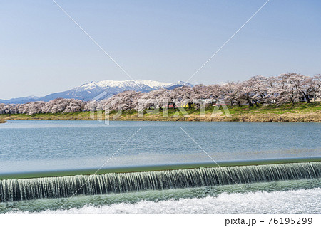 残雪の蔵王と白石川堤一目千本桜　韮神堰　宮城県大河原町 76195299