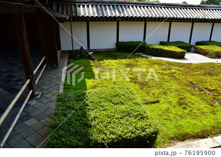 東福寺 方丈西庭 東福寺 方丈西庭 76195900