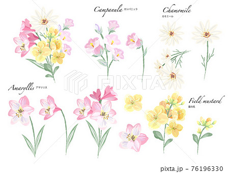 春 初夏の花素材 水彩のイラスト素材