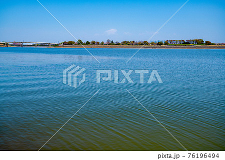 早春の彩湖 荒川調整池 さきたま大橋付近の景色 早春の彩湖 荒川調整池 さきたま大橋付近の景色 76196494