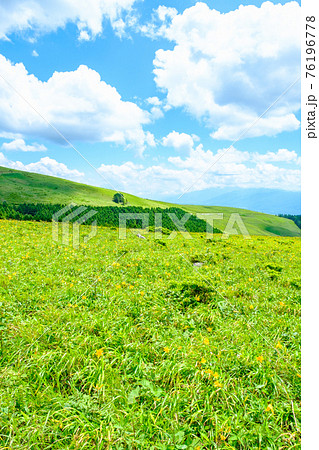 車山高原(夏) 車山高原(夏) 76196778
