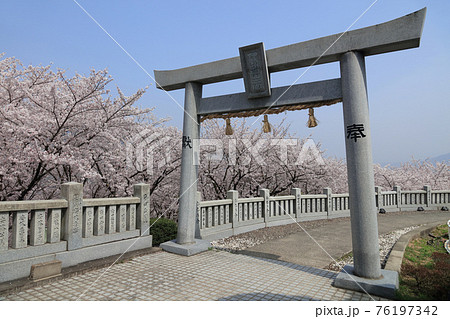 伊勢朝日山本宮から見る朝日山森林公園の桜 76197342