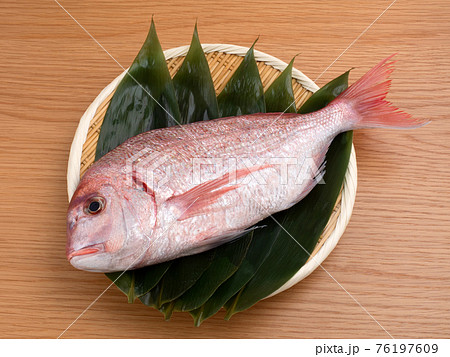 料理用に下処理をしたチダイ 76197609