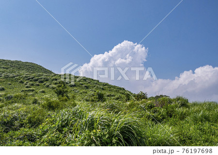 平尾台の美しい風景　カルスト台地 76197698