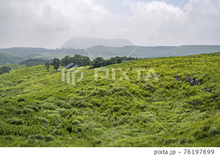 平尾台の美しい風景　カルスト台地 76197699