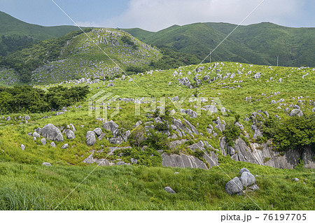 平尾台の美しい風景　カルスト台地 76197705