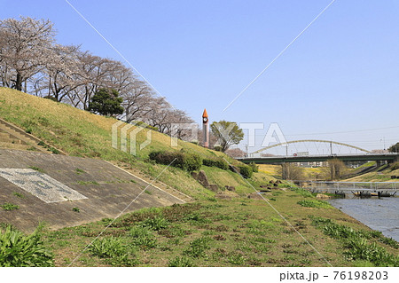 春の利根運河 千葉県流山市 春の利根運河 千葉県流山市 76198203